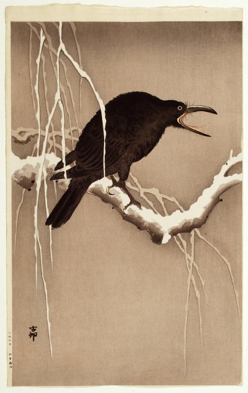 Cawing Crow on a Snowy Branch