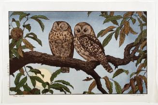 Two Owls