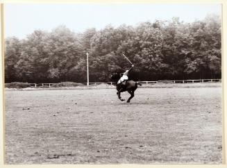 Partita di Polo, Parco di Monza (Polo Match, Park of Monza)