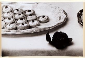 Study of tartes with a camellia flower, Tuscany, from the series Festival della Camelia (Camellia Festival)