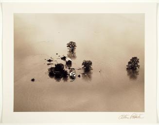 Mississippi River flood, St. Louis, Missouri, no. 11 from Arthur Rothstein