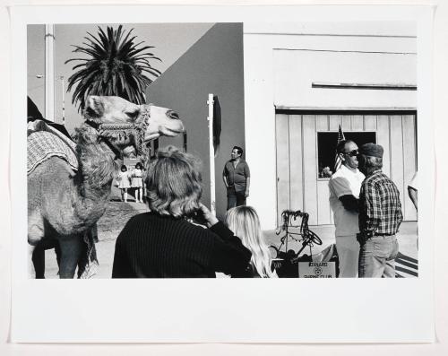 Christmas Parade with Camel, Oxnard, CA, 1975