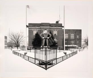 Superman, Illinois, 2002