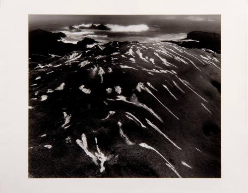 Birdlime and Surf, Point Lobos, California, from the Jupiter Portfolio