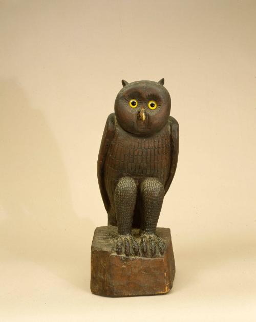 Owl