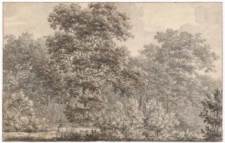 View in the Hague Woods ("Haagse Bos")