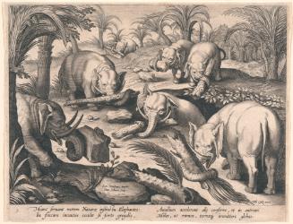 Elephants Helping Each Other out of a Trap, from the series The Hunting of Beasts, Birds and Fishes