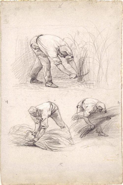 Studies of Peasants