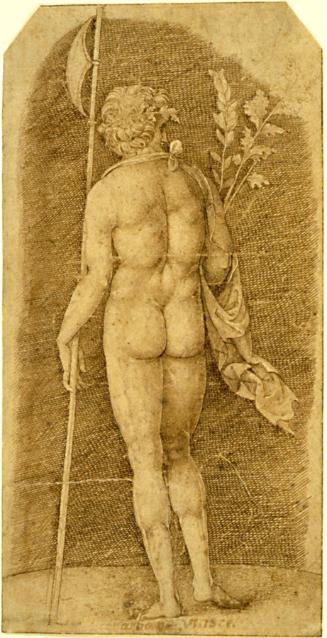 Standing Male Nude Seen from Behind
