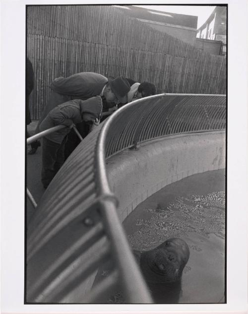 New York City, from the Garry Winogrand portfolio