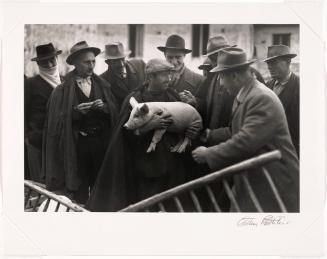 Farmers on the Market