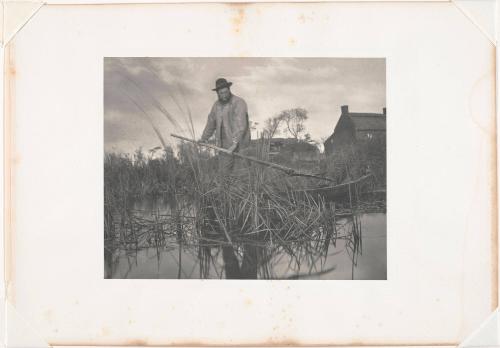 Cutting the Gladdon, Plate XXXII from Life and Landscape on the Norfolk Broads