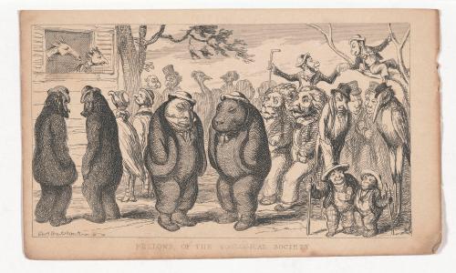 Fellows of the Zoological Society, from The Comic Almanack